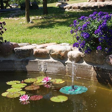 Traku Horizontai Hotel Trakai Kültér fotó